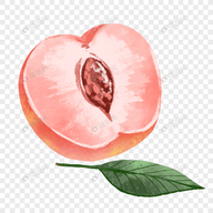 WWW,ccc222·COM网站APPAPP应用